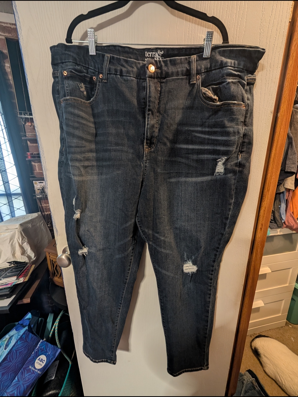 Terra & Sky Dark Blue High-Rise Jeans